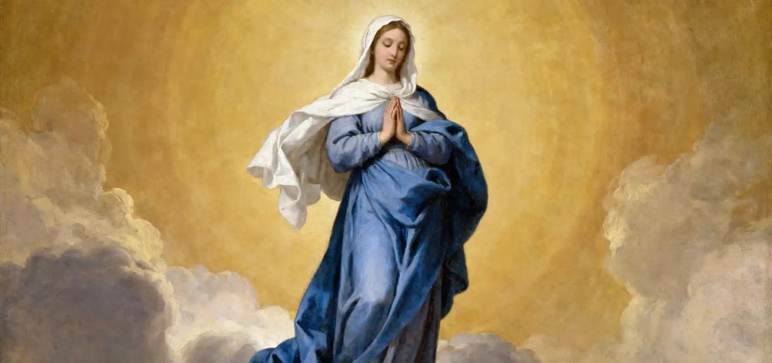 Do Catholics Worship Mary?