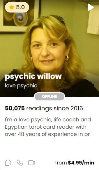 Psychic Willow - psychic reader in Purple Garden